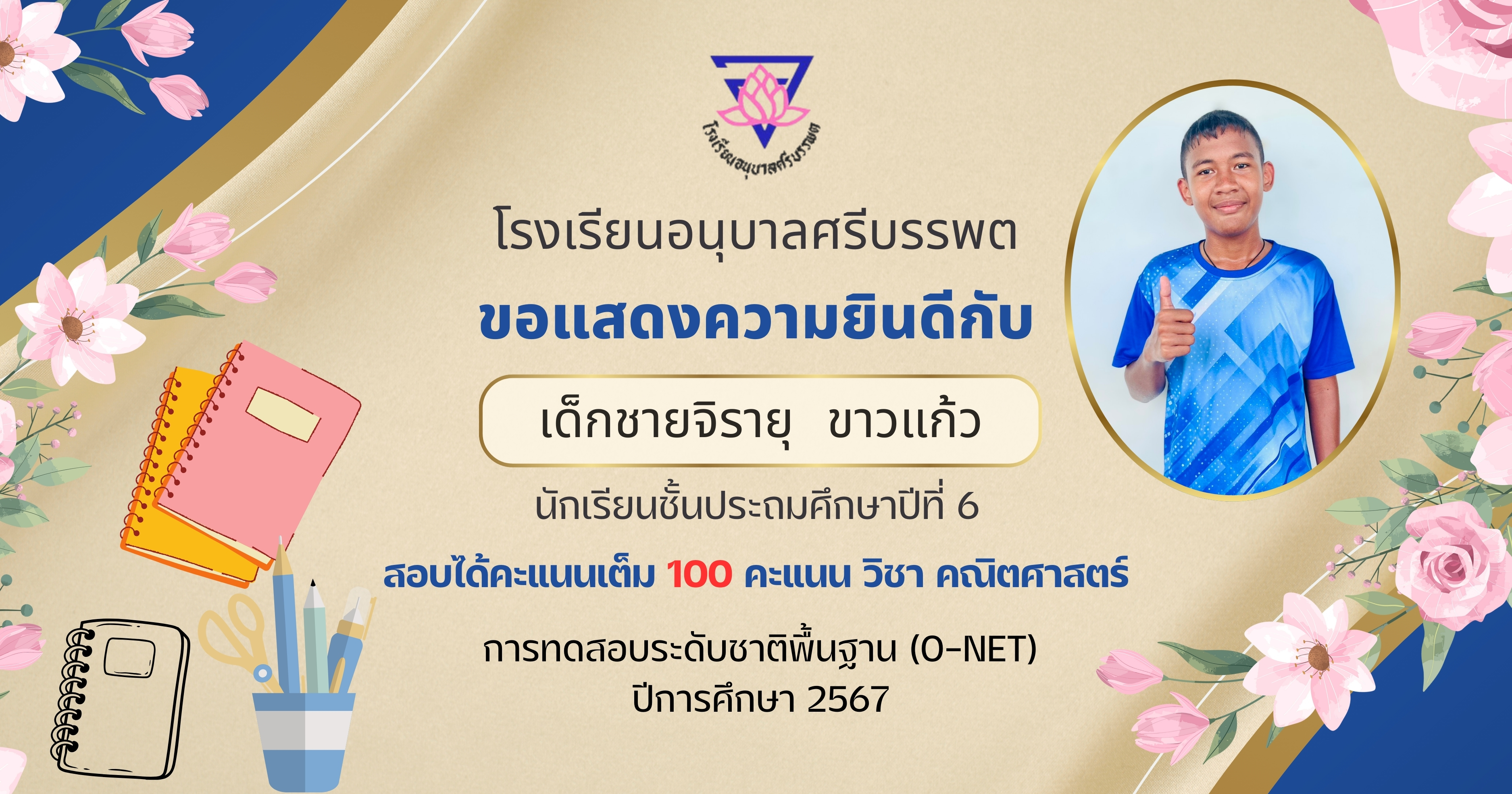  สีน้ำเงิน สีชมพู โมเดิร์น ทางการ แสดง.jpg